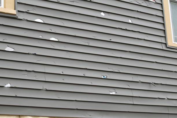 Best Attic Cleanout  in Rochester, PA